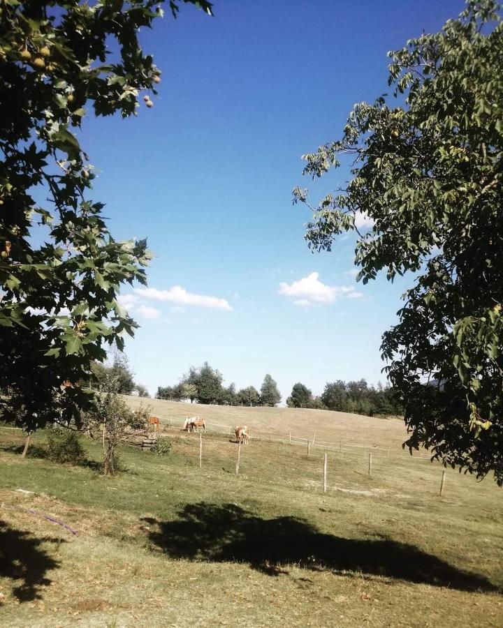 Monte Termine Country House Rioveggio エクステリア 写真