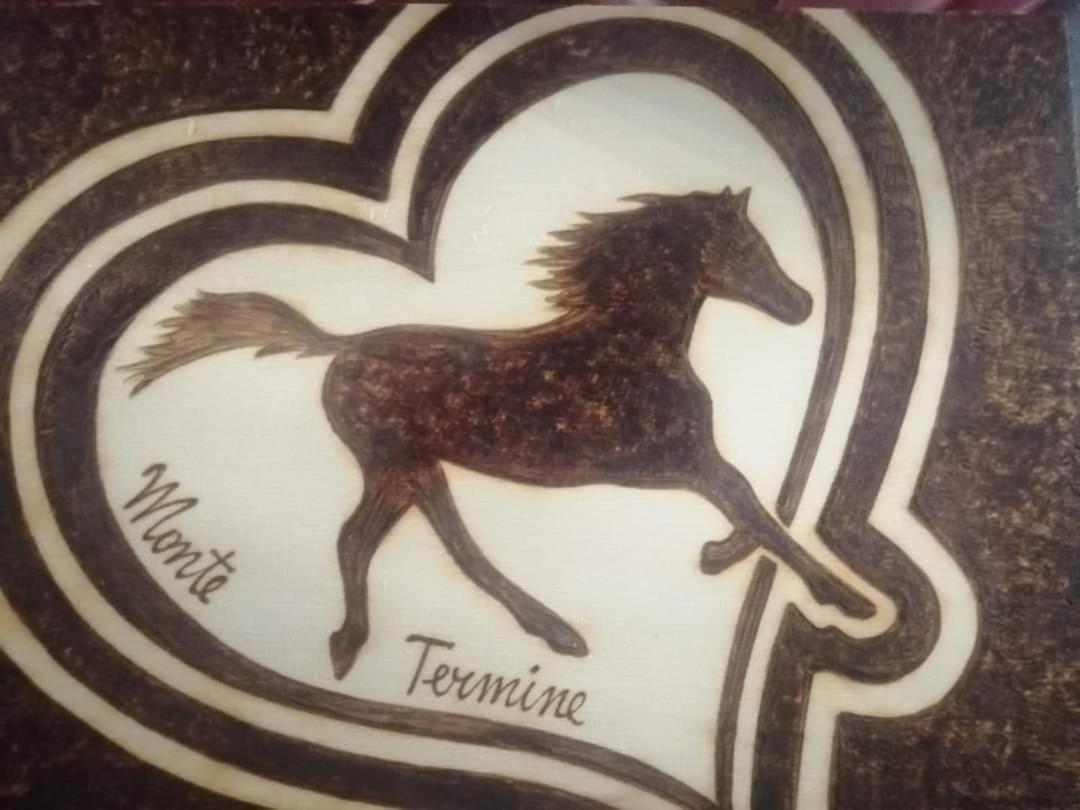 Monte Termine Country House Rioveggio エクステリア 写真