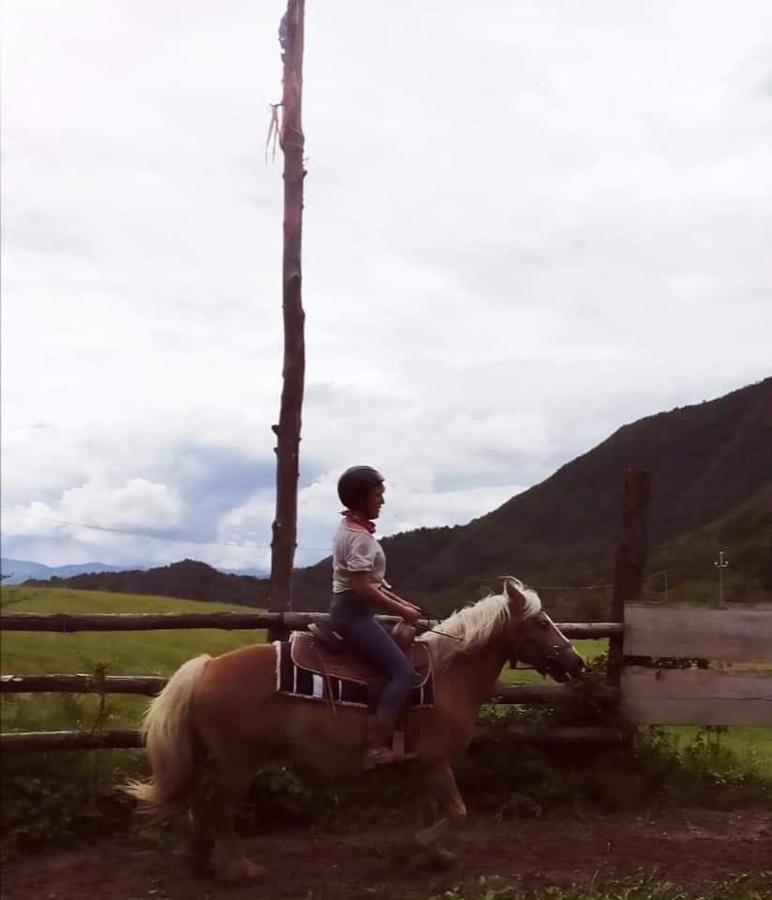 Monte Termine Country House Rioveggio エクステリア 写真