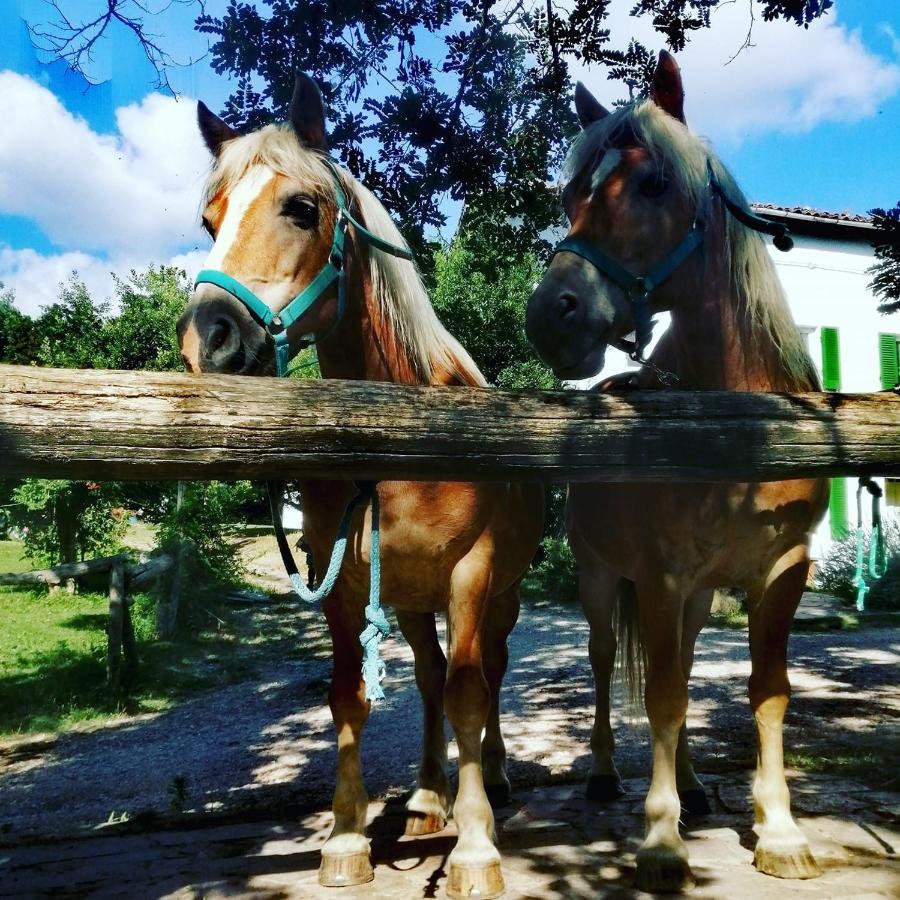 Monte Termine Country House Rioveggio エクステリア 写真