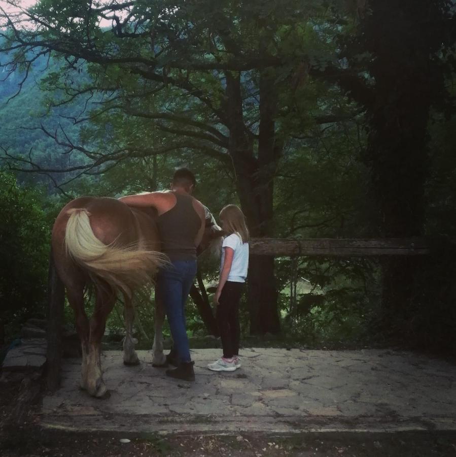 Monte Termine Country House Rioveggio エクステリア 写真