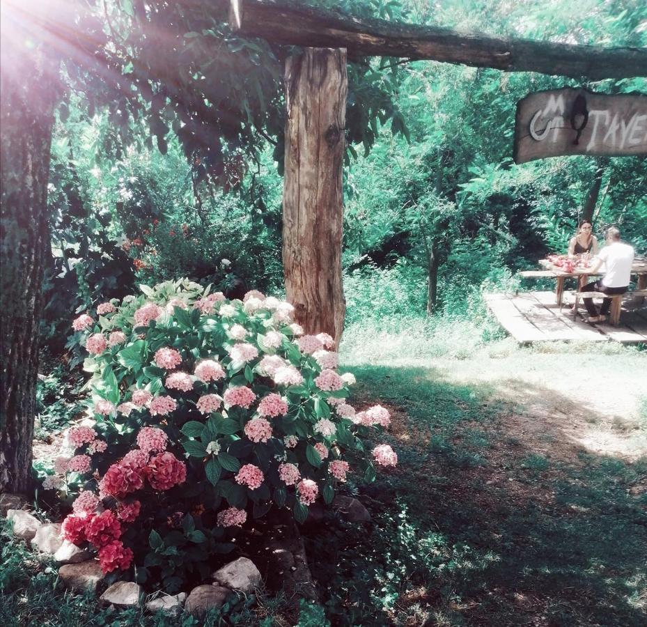 Monte Termine Country House Rioveggio エクステリア 写真
