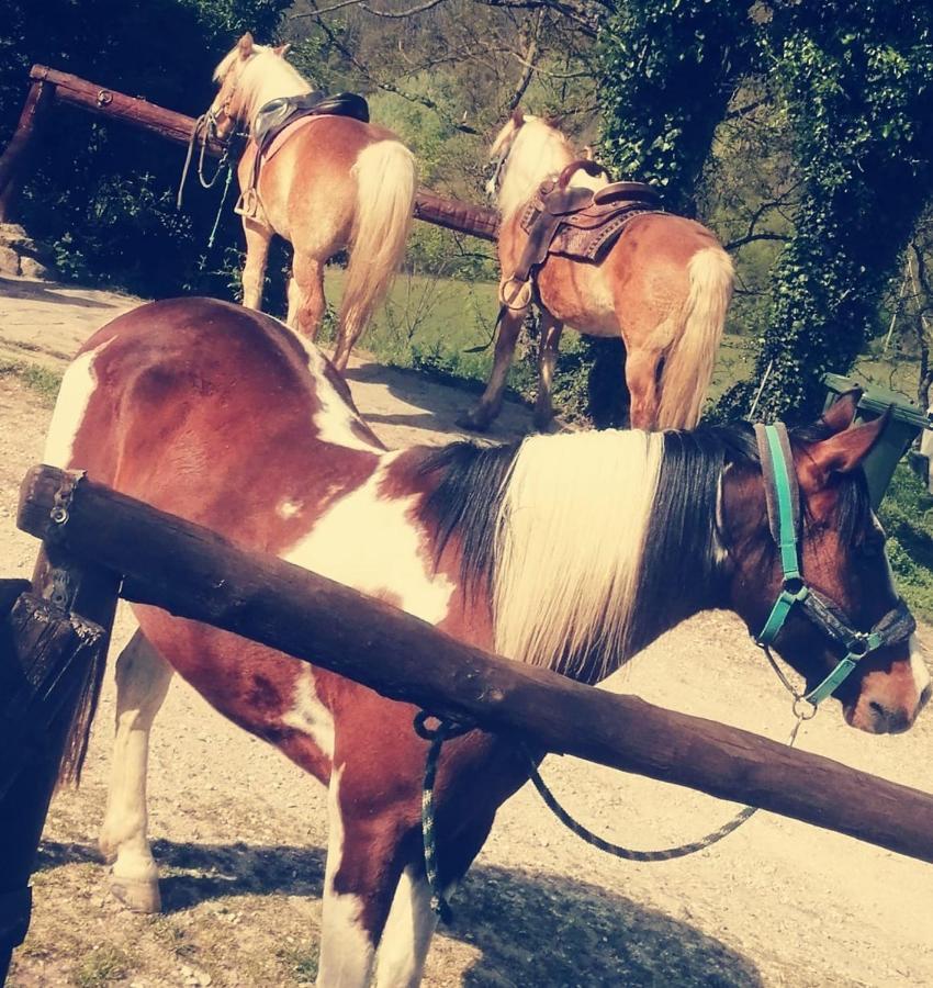 Monte Termine Country House Rioveggio エクステリア 写真