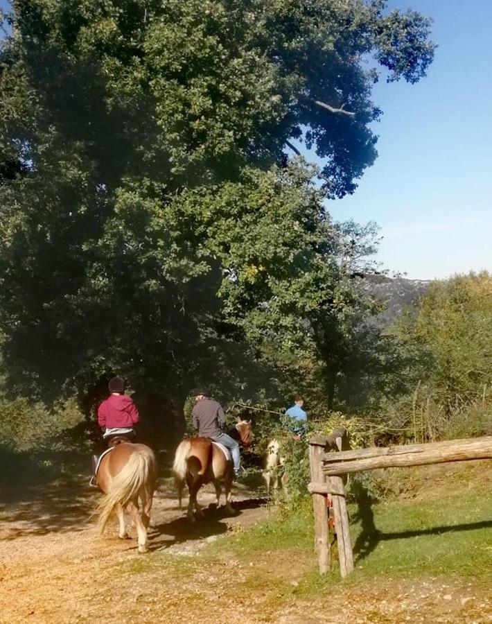 Monte Termine Country House Rioveggio エクステリア 写真