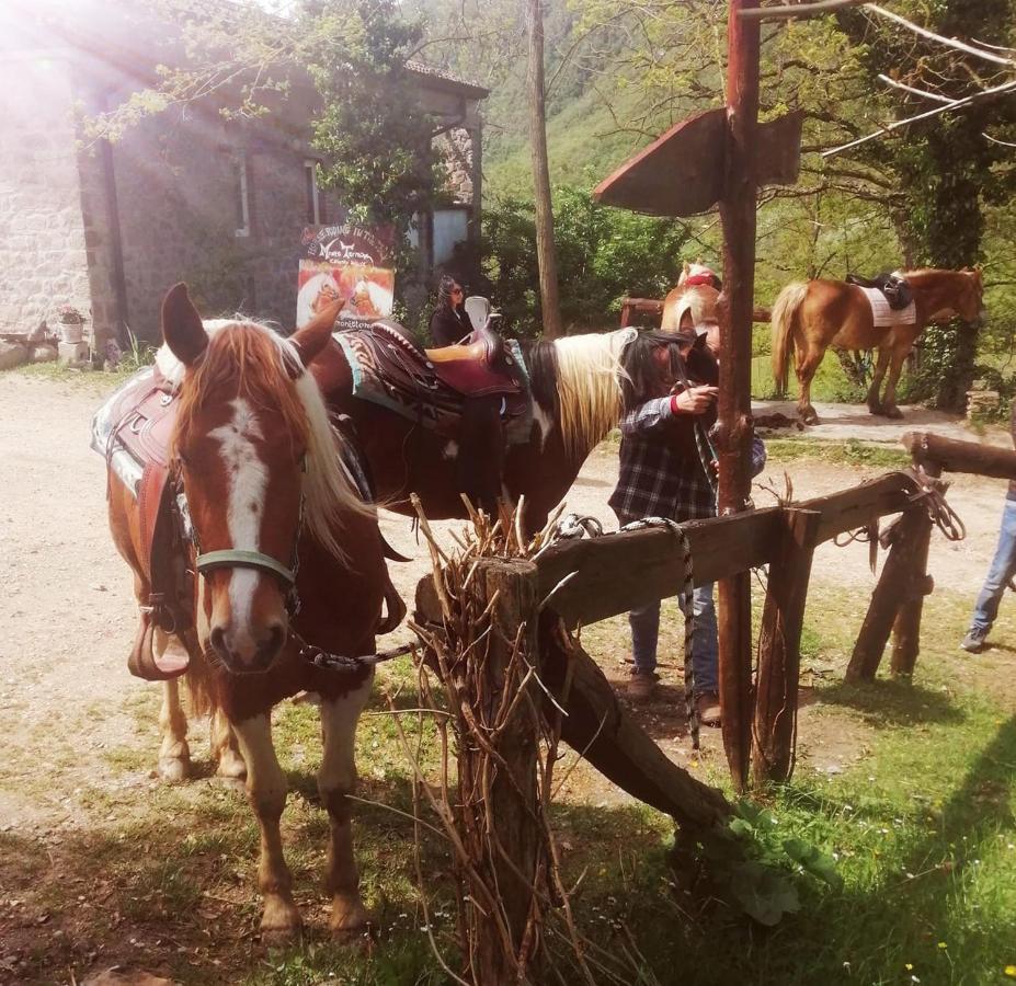 Monte Termine Country House Rioveggio エクステリア 写真