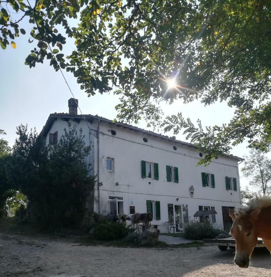 Monte Termine Country House Rioveggio エクステリア 写真